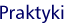 Praktyki